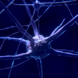 nerve-cell-2213009_1920