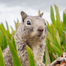 surprised-3786845_1920